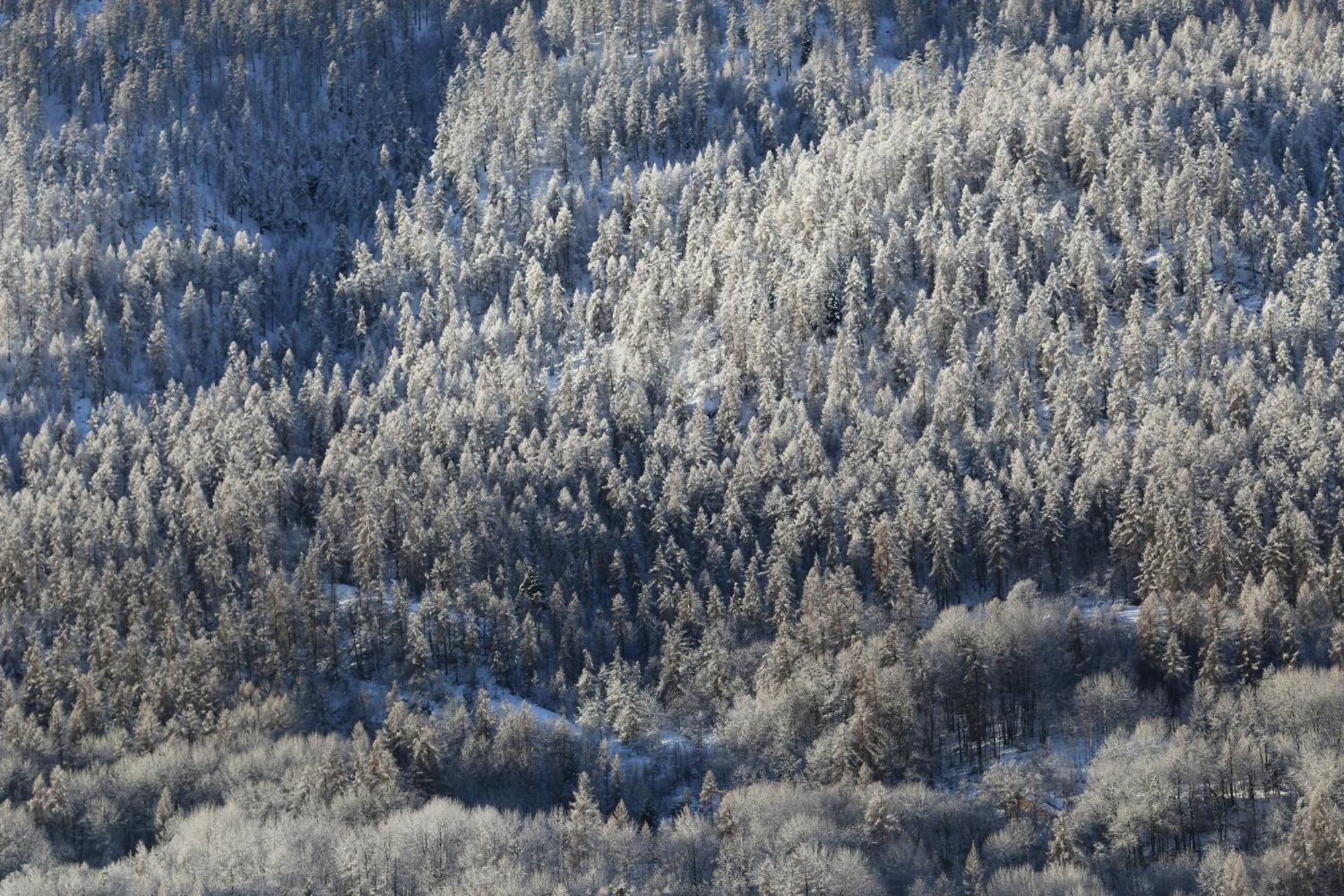 Maison De Montagne Serre Chevalier Saint-Chaffrey Extérieur photo